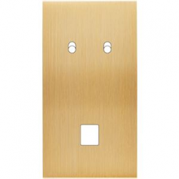 Placa del interruptor...