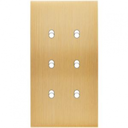 Placa de interrutor...