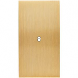 Placa del interruptor...