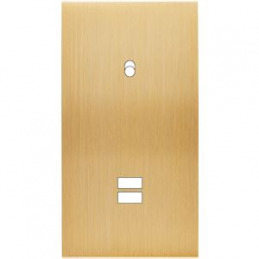 Placa de interrutor...