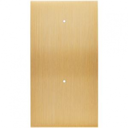 Placa del interruptor...