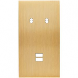 Placa del interruptor...