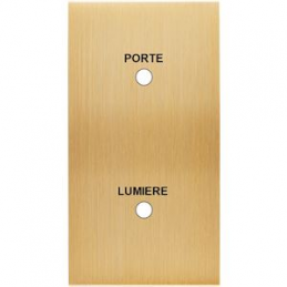 Placa del interruptor...