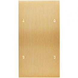 Placa de interrutor...