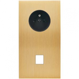 Placa del interruptor...