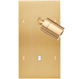 Placa del interruptor...