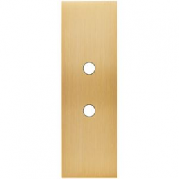 Placa de interrutor...