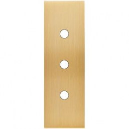 Placa de interrutor...