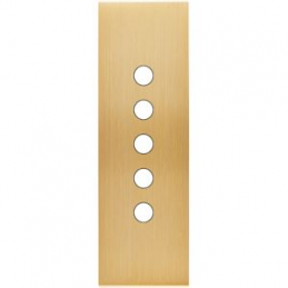 Placa de interrutor...