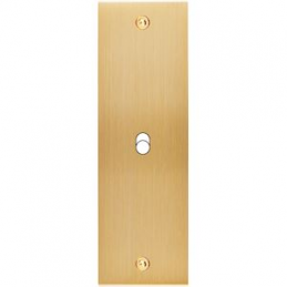 Placa del interruptor...