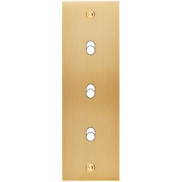 Placa de interrutor...