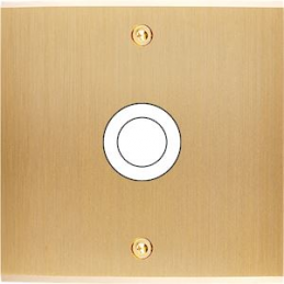 Placa del interruptor...