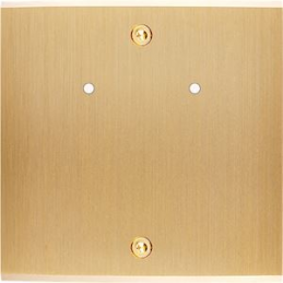 Placa del interruptor...