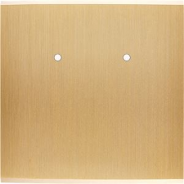 Façade Confidence Laiton...