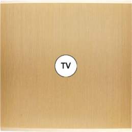 Façade Confidence laiton...