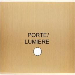 Placa de interrutor...