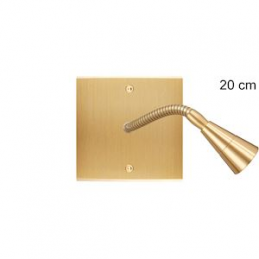 Switch plate Confidence...