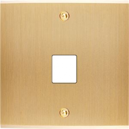 Placa de interrutor...