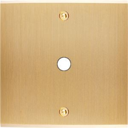 Switch plate Confidence...
