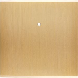 Switch plate Confidence...