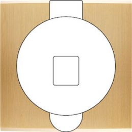 Switch plate Confidence...