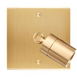 Placa del interruptor...