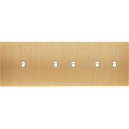 Façade Confidence Laiton...