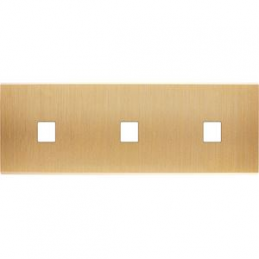 Placa del interruptor...