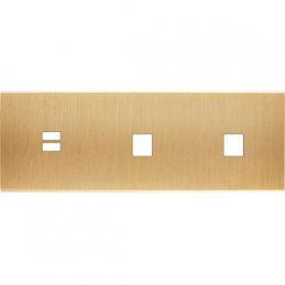 Placa del interruptor...