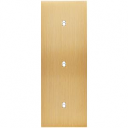 Placa de interrutor...