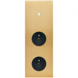 Placa del interruptor...