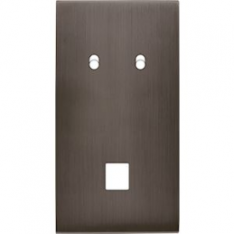 Placa del interruptor...