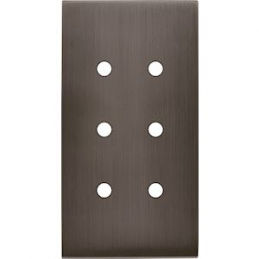 Placa del interruptor...