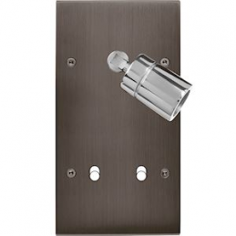 Placa del interruptor...