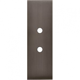 Placa del interruptor...