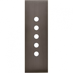 Placa de interrutor...