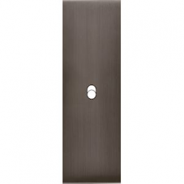 Placa de interrutor...