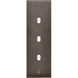 Placa de interrutor...