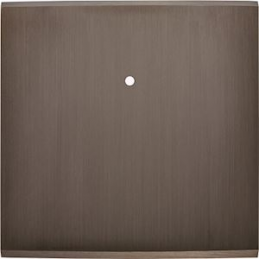 Façade Confidence Laiton...