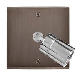 Placa de interrutor...