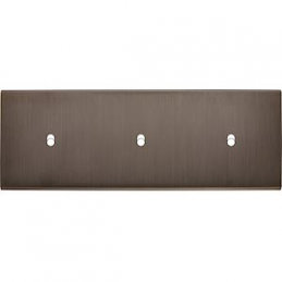 Placa del interruptor...