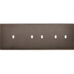 Placa de interrutor...