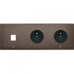 Placa del interruptor...