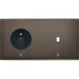 Placa del interruptor...