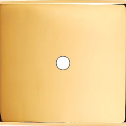 Façade Confidence Laiton Or...