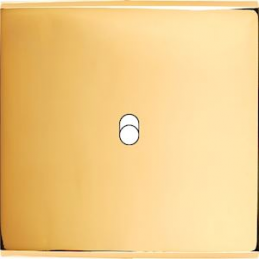 Switch plate Confidence...