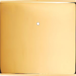 Placa de interrutor...