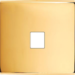 Placa de interrutor...