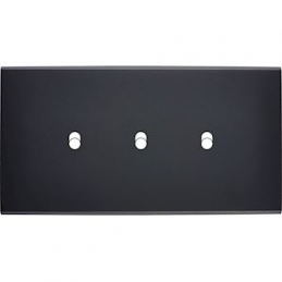 Placa del interruptor...