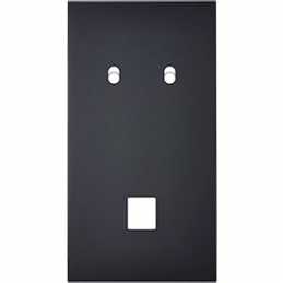 Switch plate Confidence...